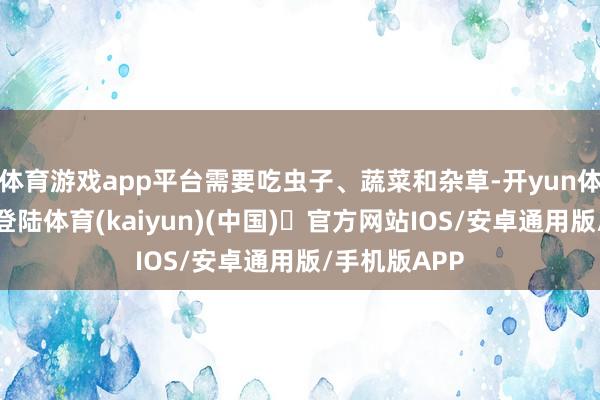 体育游戏app平台需要吃虫子、蔬菜和杂草-开yun体育官方网站登陆体育(kaiyun)(中国)❥官方网站IOS/安卓通用版/手机版APP