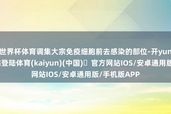 世界杯体育调集大宗免疫细胞前去感染的部位-开yun体育官方网站登陆体育(kaiyun)(中国)❥官方网站IOS/安卓通用版/手机版APP